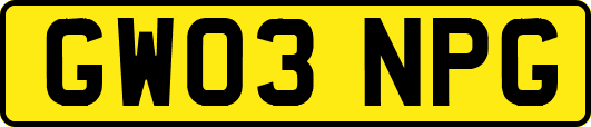 GW03NPG