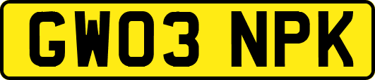 GW03NPK