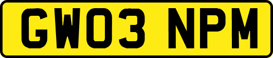GW03NPM
