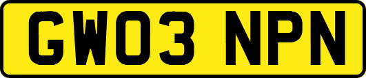 GW03NPN