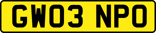 GW03NPO