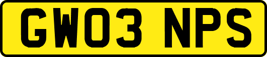 GW03NPS