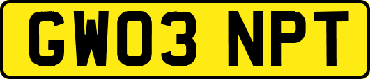 GW03NPT