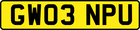 GW03NPU