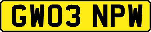 GW03NPW