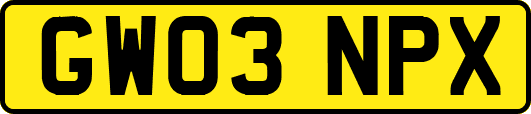 GW03NPX