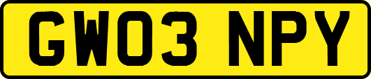 GW03NPY