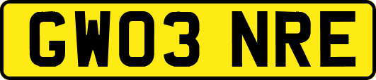 GW03NRE