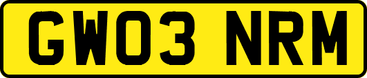 GW03NRM