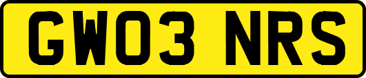 GW03NRS