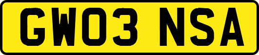 GW03NSA