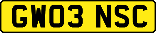 GW03NSC