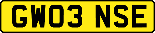 GW03NSE