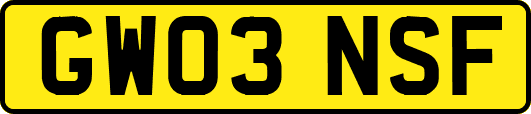 GW03NSF