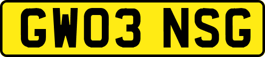 GW03NSG