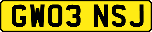 GW03NSJ