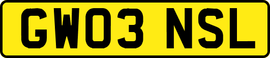 GW03NSL