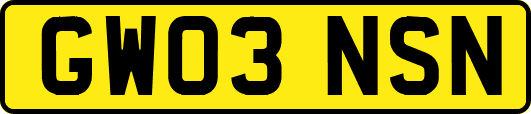 GW03NSN