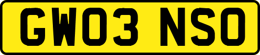 GW03NSO