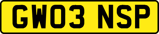 GW03NSP