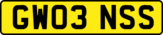 GW03NSS