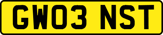 GW03NST