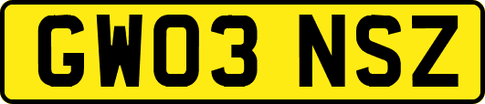 GW03NSZ