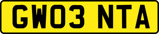 GW03NTA