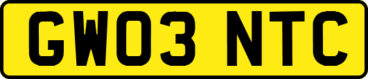 GW03NTC