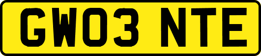 GW03NTE