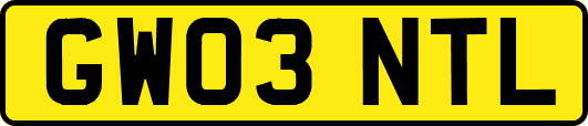 GW03NTL