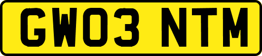 GW03NTM