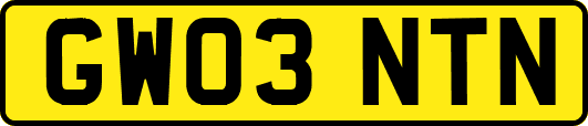 GW03NTN