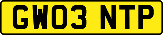 GW03NTP