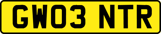 GW03NTR