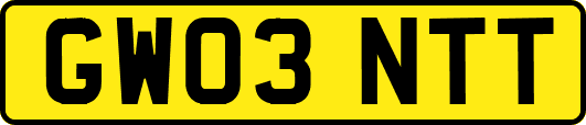 GW03NTT