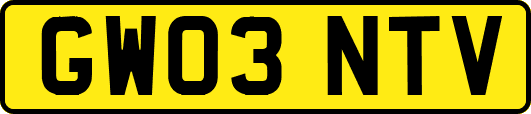 GW03NTV
