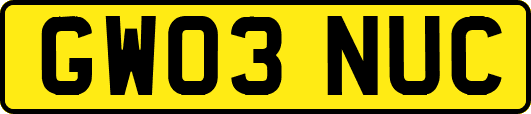 GW03NUC