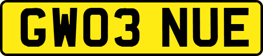GW03NUE