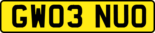 GW03NUO
