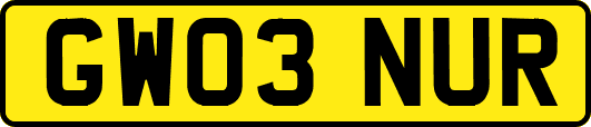 GW03NUR
