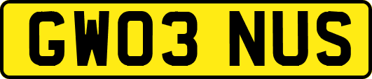 GW03NUS