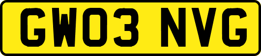 GW03NVG