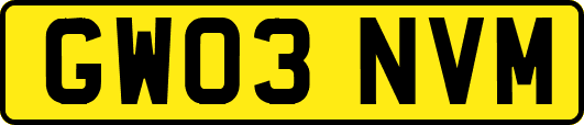 GW03NVM