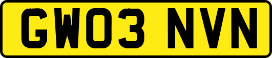 GW03NVN