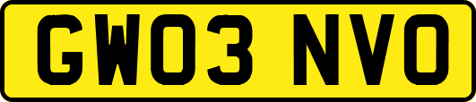 GW03NVO