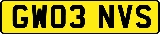 GW03NVS