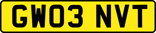 GW03NVT