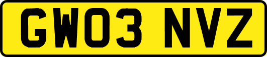 GW03NVZ