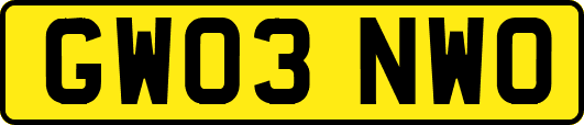 GW03NWO